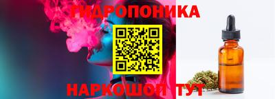 хмурый Тула